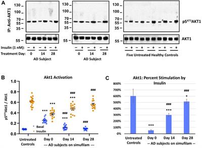 Simufilam suppresses overactive mTOR and restores its sensitivity to insulin in Alzheimer’s disease patient lymphocytes